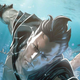 Cover art for Namor the Sub-Mariner: Conquered Shores #1, featuring Namor swimming.